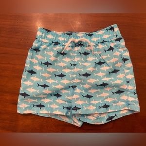Janie and Jack Turquoise Shark Swim Suit Shorts size 3-6 months